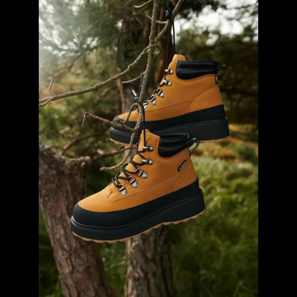 Lucien Læderstøvle